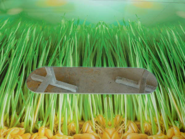 K�chenr�ckwand Digitaldruck hinter Glas